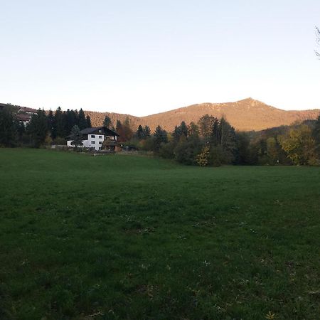 Ferienwohnung Traummichel Lam Luaran gambar